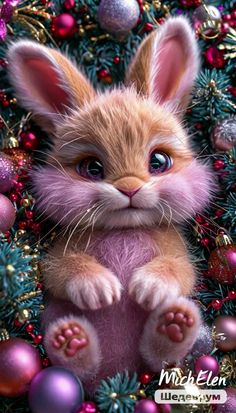 a small kitten sitting on top of a pile of christmas balls and ornaments with eyes wide open