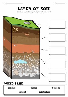 the layers of soil worksheet for kids to help students understand what they are doing