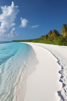 the water is crystal blue and clear with white sand on it's edge, while palm trees are in the background