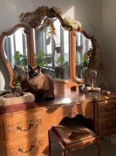 a siamese cat sitting on top of a wooden desk next to a dresser and mirror