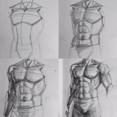 four different views of the torso and upper body