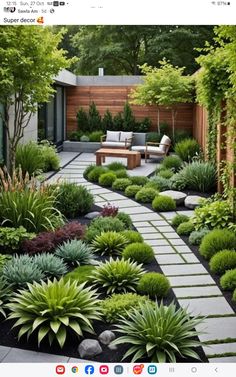 a very nice looking garden with lots of plants