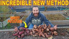 a man sitting in front of a pile of sweet potatoes with the words incredible new method