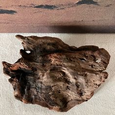 a piece of drift wood sitting on top of a white wall next to a painting