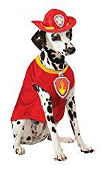 a dalmatian dog wearing a fireman's hat and red shirt sitting down