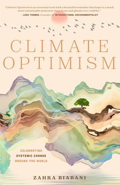 the book cover for climate optimism