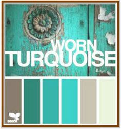 the color scheme is turquoise and brown, with white lettering that reads wormy turquiose