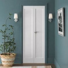 a white door is next to a potted plant in a blue room with two pictures on the wall