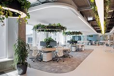 an office with plants hanging from the ceiling and chairs in front of it, along with large windows