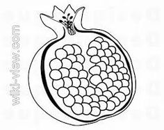 a drawing of a pomegranate with lots of small balls in the center