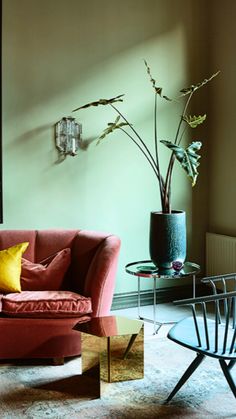 a living room filled with furniture and a plant