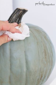 a person cleaning a green pumpkin with a cloth