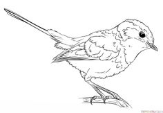 a drawing of a bird sitting on the ground