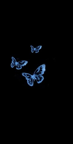 three blue butterflies flying in the dark