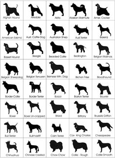 the silhouettes of dogs are shown in black and white