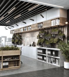 an office with lots of bookshelves and plants