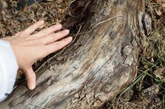 a person's hand reaching for something on the ground next to a tree trunk