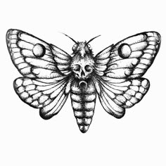 Moth Tattoos, Moth Drawing, Moth Tattoo Design, Web Tattoo, Insect Tattoo, Bug Tattoo, Elbow Tattoos