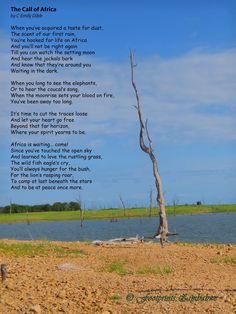 a poem written in front of a lake with a dead tree next to it on the shore