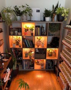 a room filled with lots of plants and shelves full of books on top of them