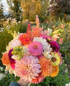 a person holding a bouquet of flowers in their hand