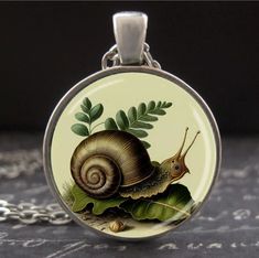 Snail Pendant Woodland Vintage Art Forest Fern Terrarium Necklace Silver Jewelry | eBay Fern Terrarium, Snail Pendant, Forest Fern, Forest Jewelry, Art Forest, Terrarium Necklace, Necklace Silver, Fern, Terrarium