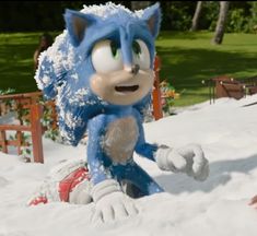 sonic the hedgehog is playing in the snow while someone watches from behind him,