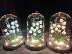 three glass domes with flowers in them on a table