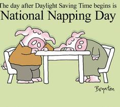 two pigs sitting at a table with the caption national napping day