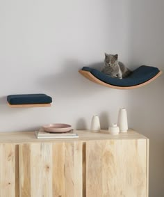 a cat sitting on top of a wooden shelf next to a blue pillow and bowl