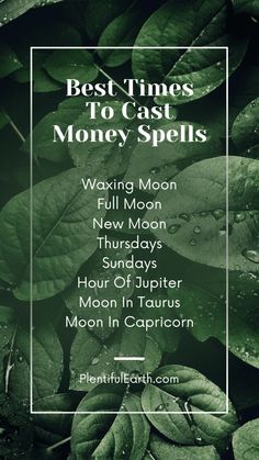 Spell For New Year, Basil Money Spell, Wealth Spells Money, Real Spells That Actually Work Money, Money Spells Magic Wealth, Money Incantations, Banish Debt Spell, Money Manifestation Spell, Easy Money Spells That Work Fast