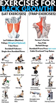 the exercises for back growth are shown in this poster