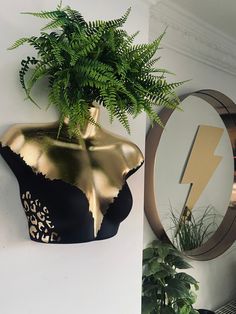 a potted plant sitting on top of a black vase next to a wall mounted mirror