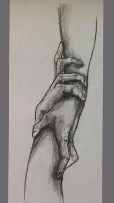 a pencil drawing of a hand holding something