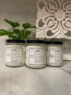 three candles sitting on top of a counter next to a potted plant