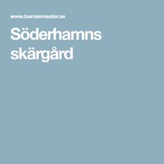 the cover of soderhams skaigard, with white text on a blue background