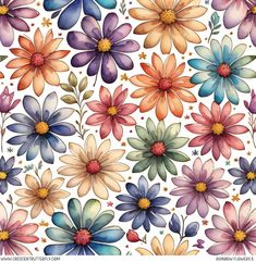 watercolor flowers on white background