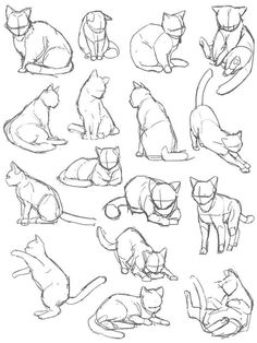 an image of cats sitting and standing on the ground in different positions, all drawn by hand