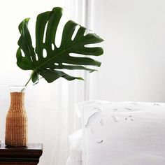 a large green plant in a vase on a table next to a bed with white sheets