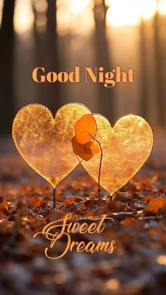 two hearts shaped like leaves with the words good night sweet dreams written on them in gold