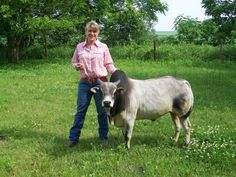 a woman standing next to a cow on top of a lush green field with trees in the background