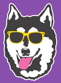 a husky dog wearing sunglasses and sticking its tongue out