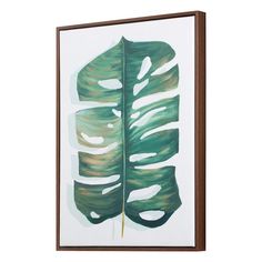 a large green leaf on a white background framed in brown wood with a wooden frame