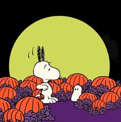 a charlie brown halloween scene with pumpkins on the ground and one dog in the middle