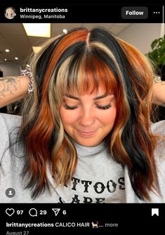 Edgy Color Block Hair, Brown Hair With Orange Streaks, Calico Hair With Bangs, Chunky Fall Hair, Blonde Copper And Brown Hair, Colorful Fall Hair Colors, Bangs Colored Hair, Orange Hair With Black Tips, Calico Hair Color Placement