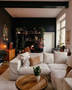 a living room filled with lots of furniture and plants on top of the couches