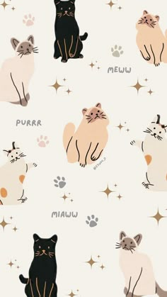 cats and stars on a white background