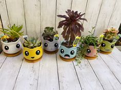 a group of potted plants sitting on top of a white wooden table next to each other