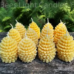 five pine cones are lined up on a log in front of some trees and bushes