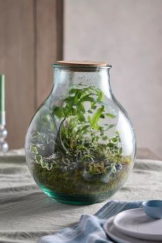 a glass vase filled with plants on top of a table